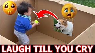 Crazy Funniest Videos Ever In The World | Try Not To Laugh Challenge | Laugh Till You Cry (Vol 8)