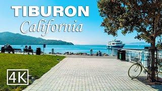 [4K] Tiburon: A Walking Tour Of California's Beautiful Hidden Gem