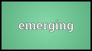 Emerging Meaning