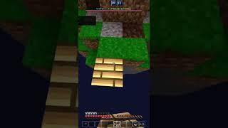 Minecraft Sky Wars moment