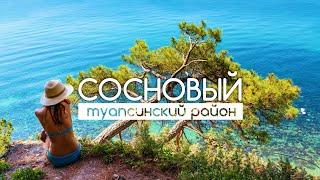 СОСНОВЫЙ Туапсе - место, куда хочется вернуться!