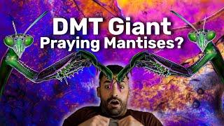 Why DMT Users Report Seeing Elves and Entities