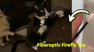 BAEKOKO Firefly Addictive Fiber Optic Cat Toy  @gadgetify