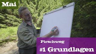 Pirschweg #1 Grundlagen | Mai | Ein Jagdjahr durchs Jagdrevier