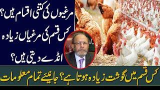 Types of Chicken | Details by Dr Muhammad Arshad