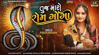 Pooja Krishna ॥ તુજ મારો રોમ ગોગા ॥ Tuj Maro Rom Goga ॥ New Gujarati Song ॥ @poojakrishnaofficial