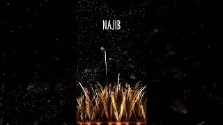 BON ANNIVERSAIRE NAJIB !