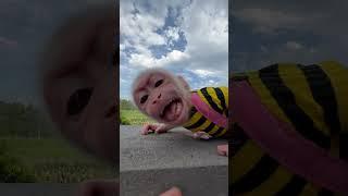 Bibi cry