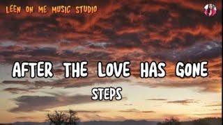 After the love has gone lyrics - Steps