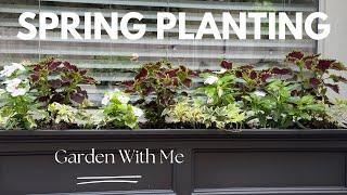Garden with Me| Planting A Duranta  Tree|Perennial Basil| Shade Containers