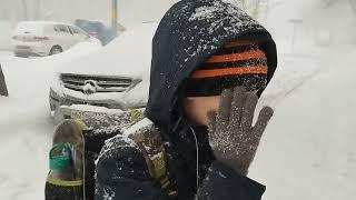 Находка сына, дом Рыжика, чайник для продажи, потеряли справку в школе. Январь