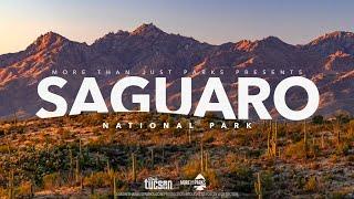 SAGUARO National Park 8K Arizona (Visually Stunning Tour)