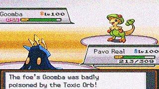 The Evolution of DPP Breloom