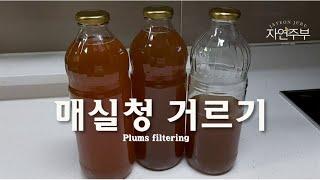 매실청 거르기/매실장아찌와 매실에이드 만들기/plums filtering