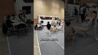 Автодом на базе магистрального грузовика #автоизкореи #доставкаавто #кореяавто  #корейскиемашины