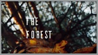 The forest