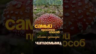 Самый простой способ сделать субтитры читаемыми￼ #туториал #capcut #субтитры