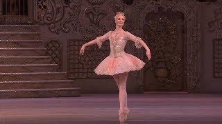 Dance of the Sugar Plum Fairy from The Nutcracker (The Royal Ballet)