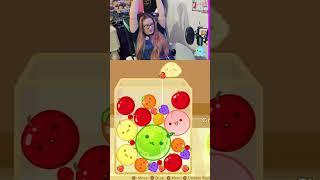 ONCE AGAIN NO WATERMELON!!!! SUIKA GAME! #suikagame #cutegame #gaming #... | #bigfuzzyyak on #Twitch