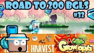 PROFITTING & INVESTING BGLS ON HARVEST!!  | Road To 200 BGLS #32 | GrowTopia Profit 2024