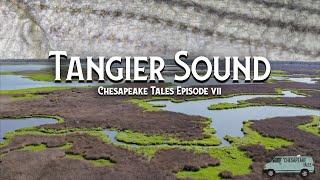 Targeting the Chesapeake Bay's Most Iconic Fish | Chesapeake Tales Episode VII