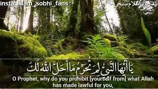 Heart Soothing Recitation | Surah At-Tahrim - Islam Sobhi اسلام صبحي