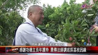 20250528佛光山總本山集體出坡 慧傳法師帶領僧眾採荔枝｜@FGSBLTV