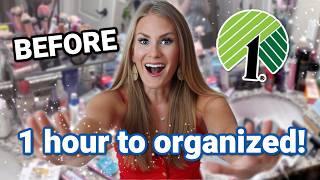 *NEW* EXTREME DOLLAR TREE Bathroom Organization! 🫶