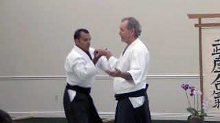 Sensei Dan Messisco - Winter Intensive 2014