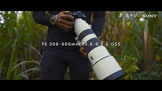 Sony | Super-telephoto Lenses for Wildlife & Insects with Sony Alpha 7R V | α