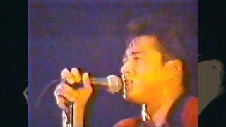 太陽の様に / HOUND DOG 1989 (TVK Live TOMATO より)