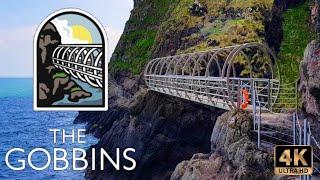 The Gobbins Cliff Path, Northern Ireland