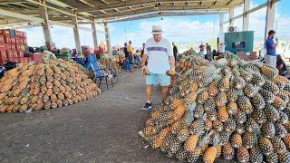 ABACAXI DE 0,80 SÓ NORDESTE. E TOME FARTURA, BRASIL!