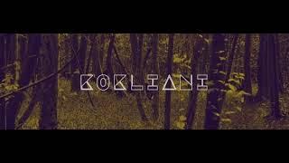 Kokliani Production