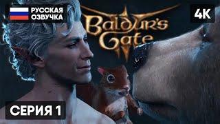 РЕЛИЗ BALDUR'S GATE 3 ПРОХОЖДЕНИЕ НА РУССКОМ #1  БАЛДУРС ГЕЙТ 3 ГЕЙМПЛЕЙ ОБЗОР СТРИМ [4K]