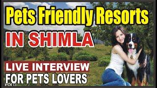 Pets Friendly Hotel and Resorts in Shimla | First Pet Hotel in Shimla | Luxury hotel for dogs