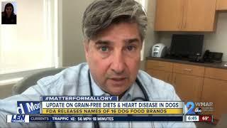 Dog with heart disease showing improvements after switching from grain-free diet