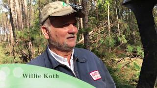 Honey Hill Timber Company Logging Spring Island