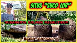 Spektakuler, Situs "SUCO LOR", Gudangnya Dolmen Megalitikum. Maesan - Bondowoso.