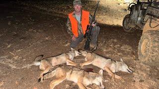 A Deer hunt turned into a COYOTE hunt! 11/23/24