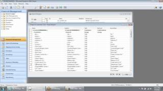 Microsoft Dynamics NAV Customization Capabilities - Solution Systems, Inc.