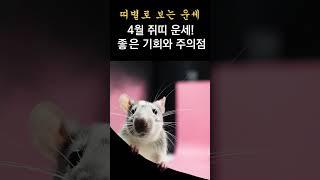 2025년 4월 운 좋은 쥐띠 운세! 이것을 미리 알면, 운의 흐름을 좋게 할 수 있습니다! 띠별로 보는 한달간 운세!  #띠별운세