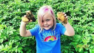 ASK A FARMER Series - Growing Potatoes at North Paddock Farms Ltd.