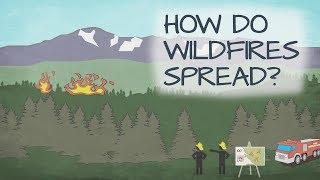 How Do Wildfires Spread?