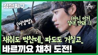 ＂이거 분명 쉬워 보였는데...?＂ 채취도 벅찬데.. 파도도 피해야 하고.. 바르끼요 채취에 도전한 강철이들 | 강철지구 33 회