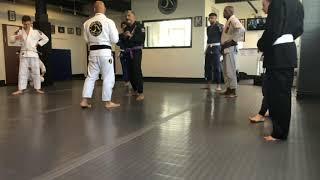 Eddie Kone Academy Of Jiu-Jitsu Take down class clip