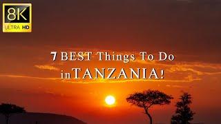 7 BEST Things To Do in TANZANIA!