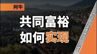 青年失业、消费萎靡、少子化老龄化加剧、贸易摩擦…共同富裕如何实现？【阿牛读财】