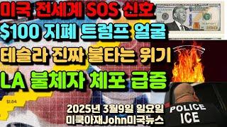 미국 전세계 SOS 신호! 한달안에 계란 1억개! $100 달러 지폐 $250 트럼프 얼굴! 테슬라 진짜 불타는 위기! $100 아래 폭락도! LA 불체자 불법이민자 체포 급증!