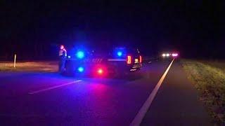 FHP: Woman, 2 horses dead in collisions on US-301 in Callahan